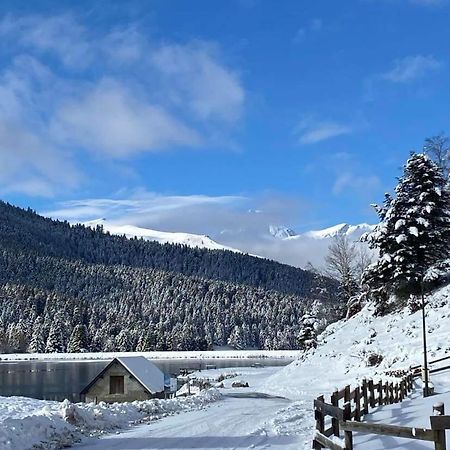 Gite Du Montagnol A Payolle Sainte-Marie-de-Campan Kültér fotó