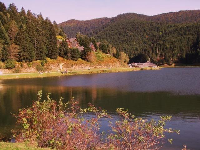 Gite Du Montagnol A Payolle Sainte-Marie-de-Campan Kültér fotó