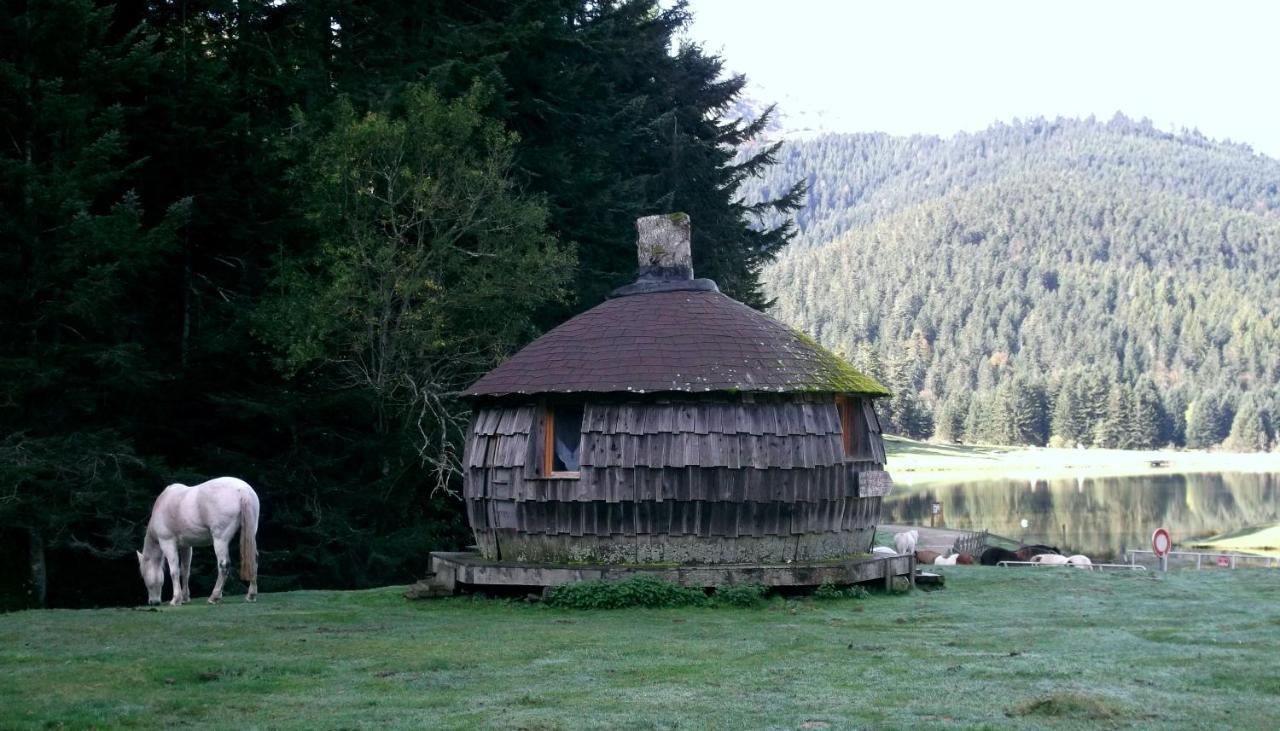 Gite Du Montagnol A Payolle Sainte-Marie-de-Campan Kültér fotó