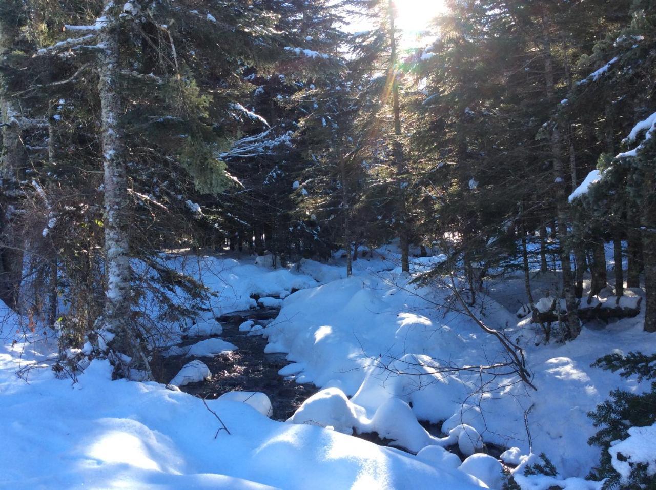 Gite Du Montagnol A Payolle Sainte-Marie-de-Campan Kültér fotó